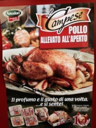 La tana dei Polli