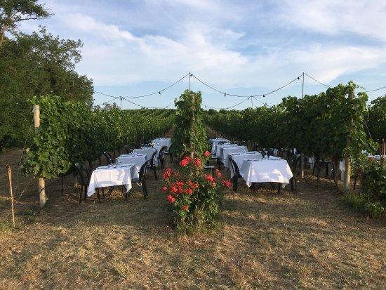 Podere Riosto