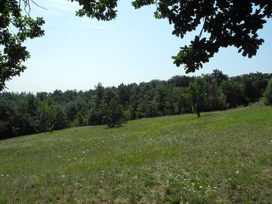 Parco Cavaioni