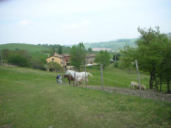Ca del Buco Restaurant