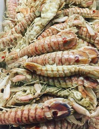 Il Portolano Trattoria