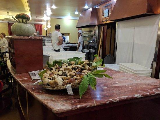Il Gabbiano