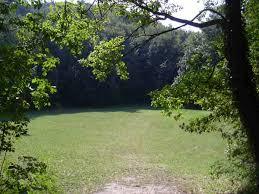 Parco del Carnè