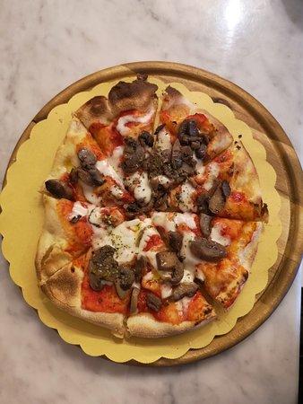 Piotto