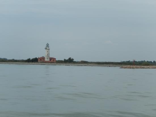 Motonave Delfinus