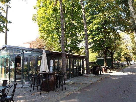 Mosquito Summer Cafe