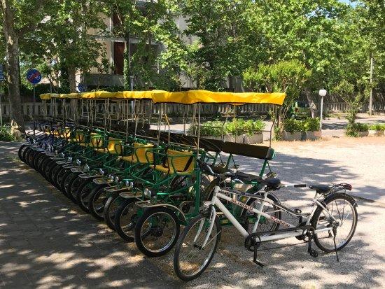 Noleggio Biciclette e Riscio Orioli