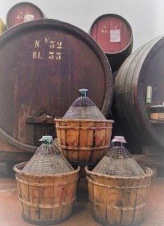 Cantina Mingazzini