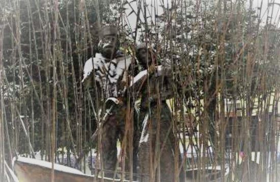 Statua di Giuseppe Garibaldi e Anita