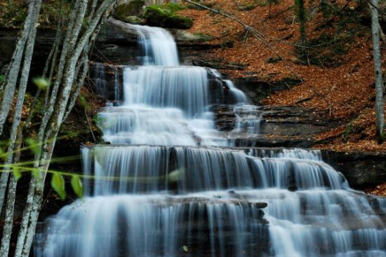Parco Nazionale delle Foreste Casentinesi