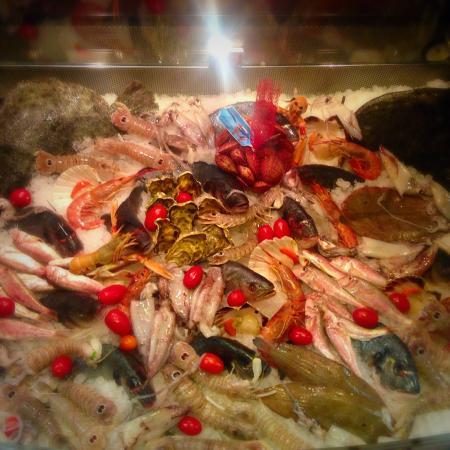 Il Marinaio
